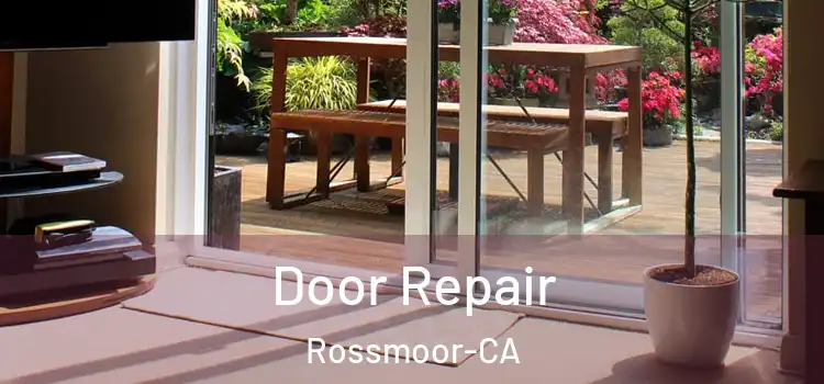  Door Repair Rossmoor-CA