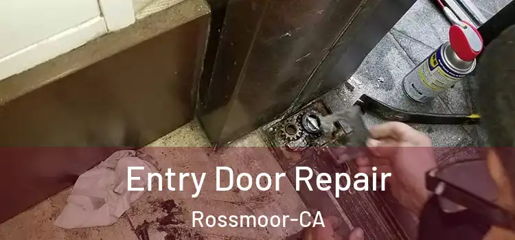 Entry Door Repair Rossmoor-CA