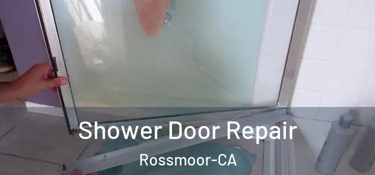 Shower Door Repair Rossmoor-CA